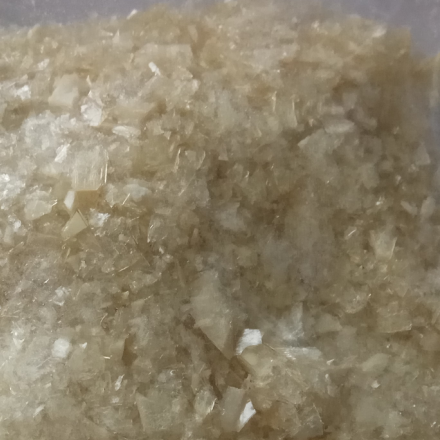 Seebio 牛血清白蛋白, Bovine serum albumin, BSA |西宝生物